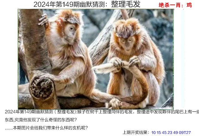 2024澳门挂牌资料大全免费,数据解释落实_整合版121,127.13