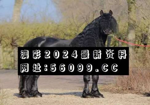 （澳彩开奖结果2023开奖记录查询最新消息）