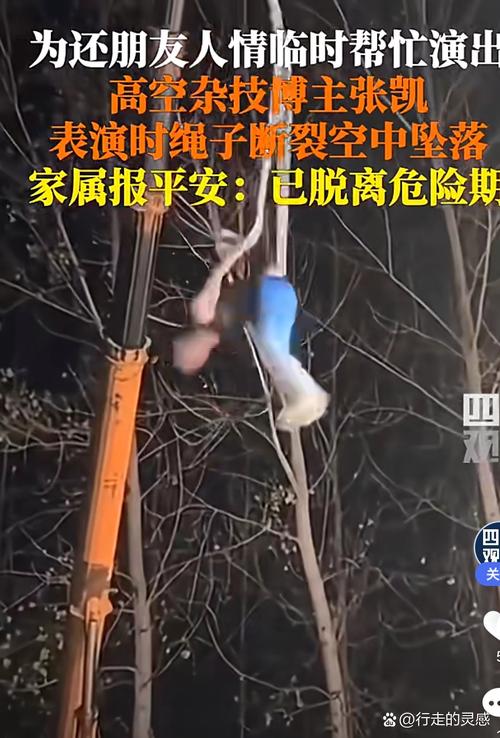 2025新澳正版免费挂牌和杂技演员表演中摔落与杂技演员表演中摔落的是谁